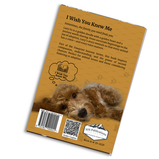 Lucy's Journey Book ( English )