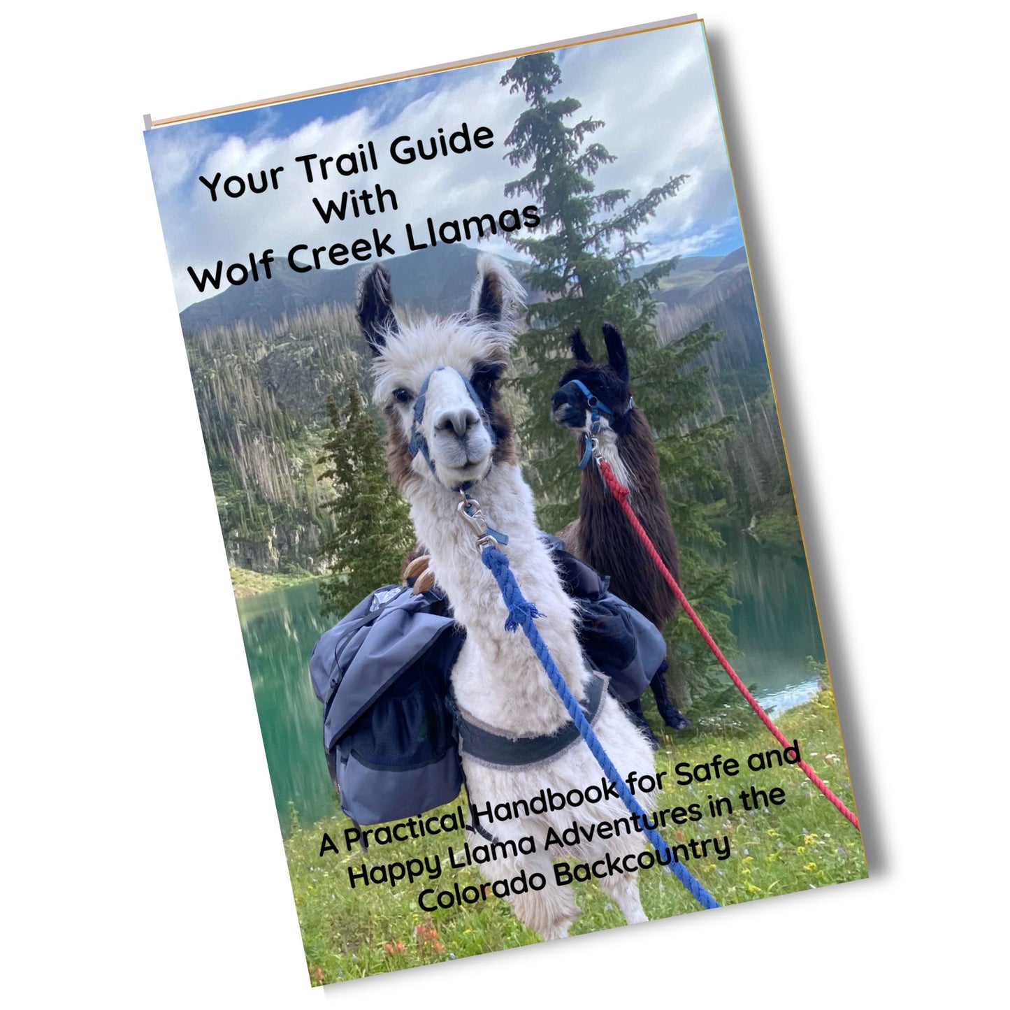 Your Trail Guide with Wolf Creek Llamas