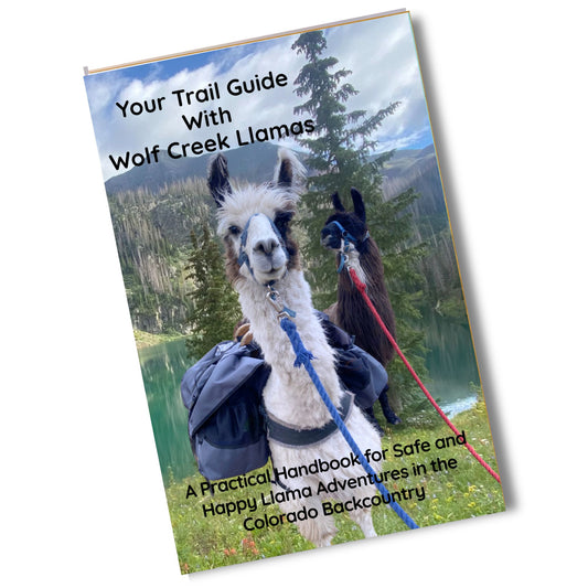 Your Trail Guide with Wolf Creek Llamas
