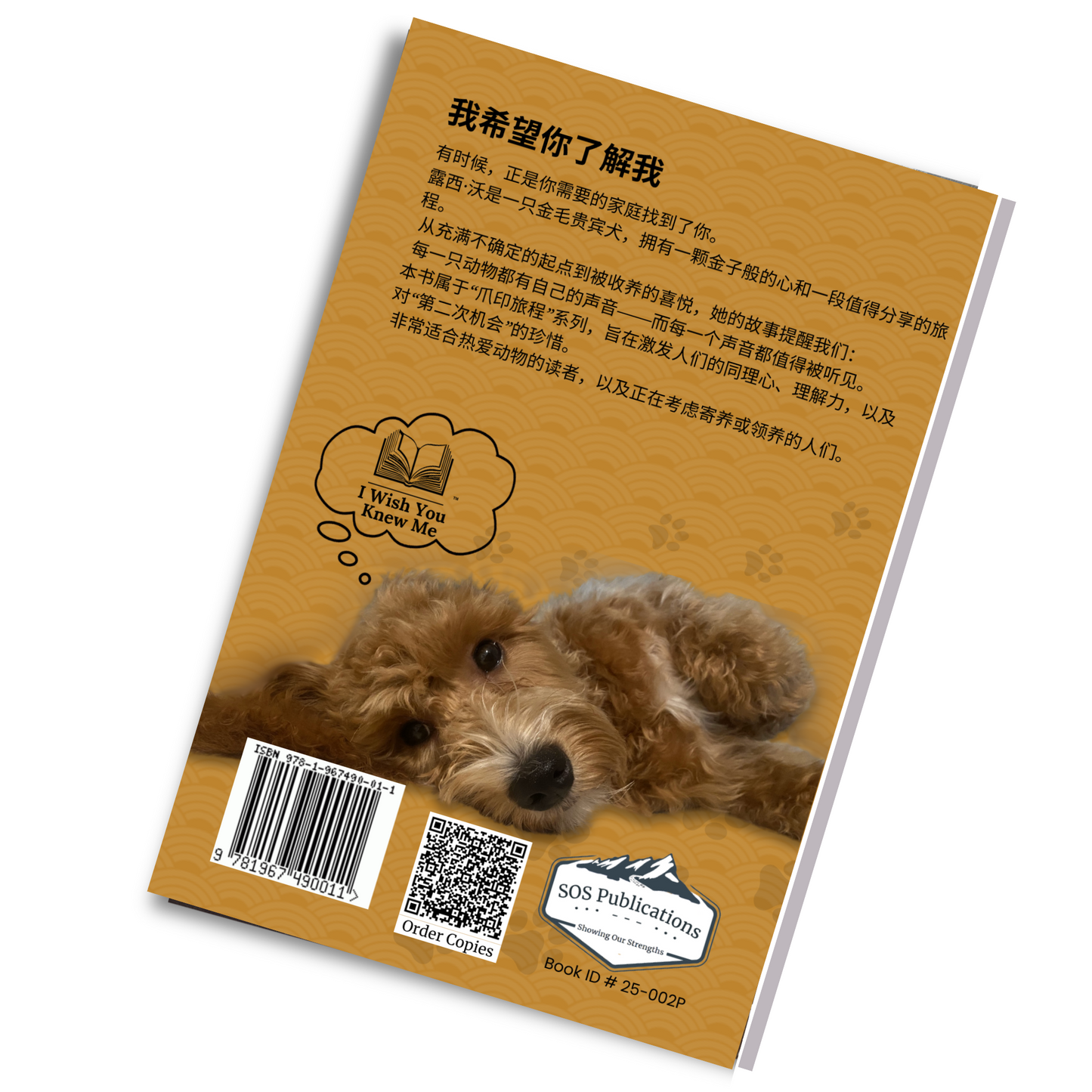 Lucy's Journey Book ( English )