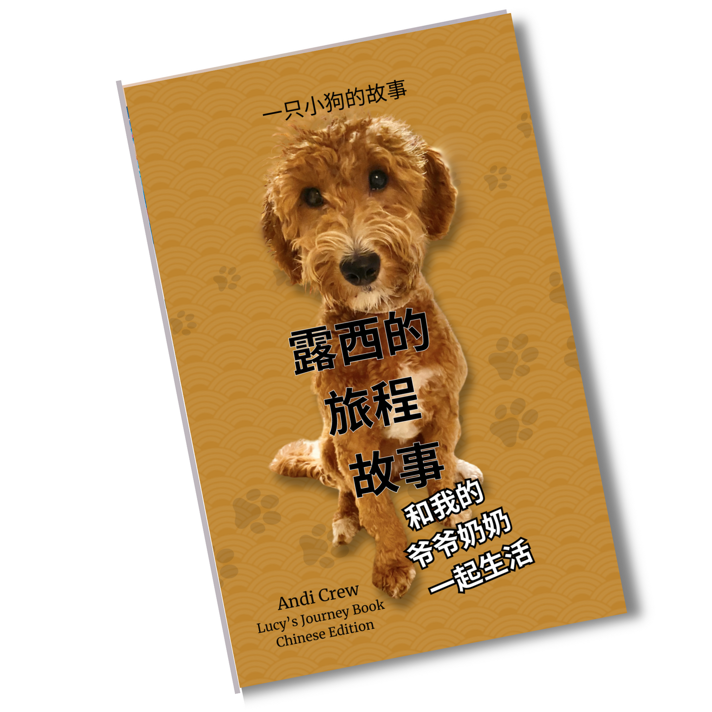 Lucy's Journey Book ( English )