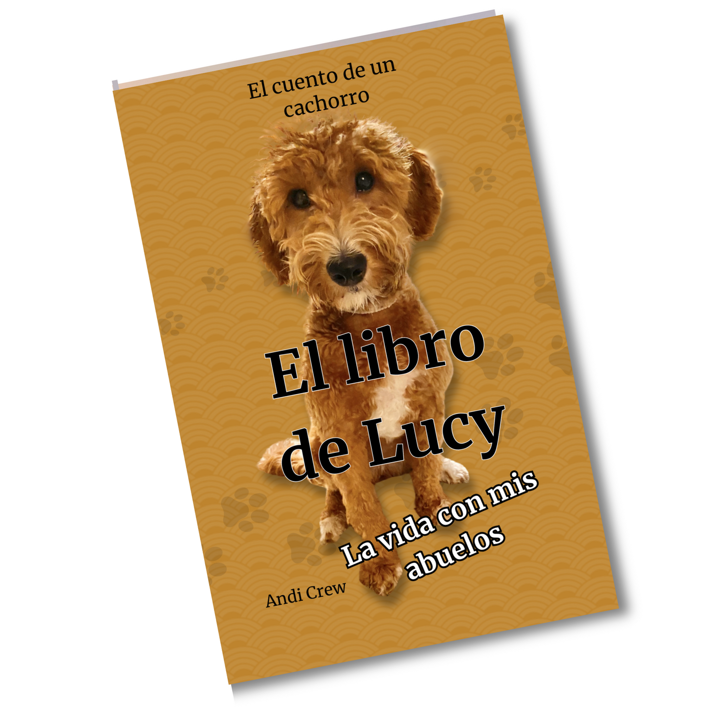 Lucy's Journey Book ( English )