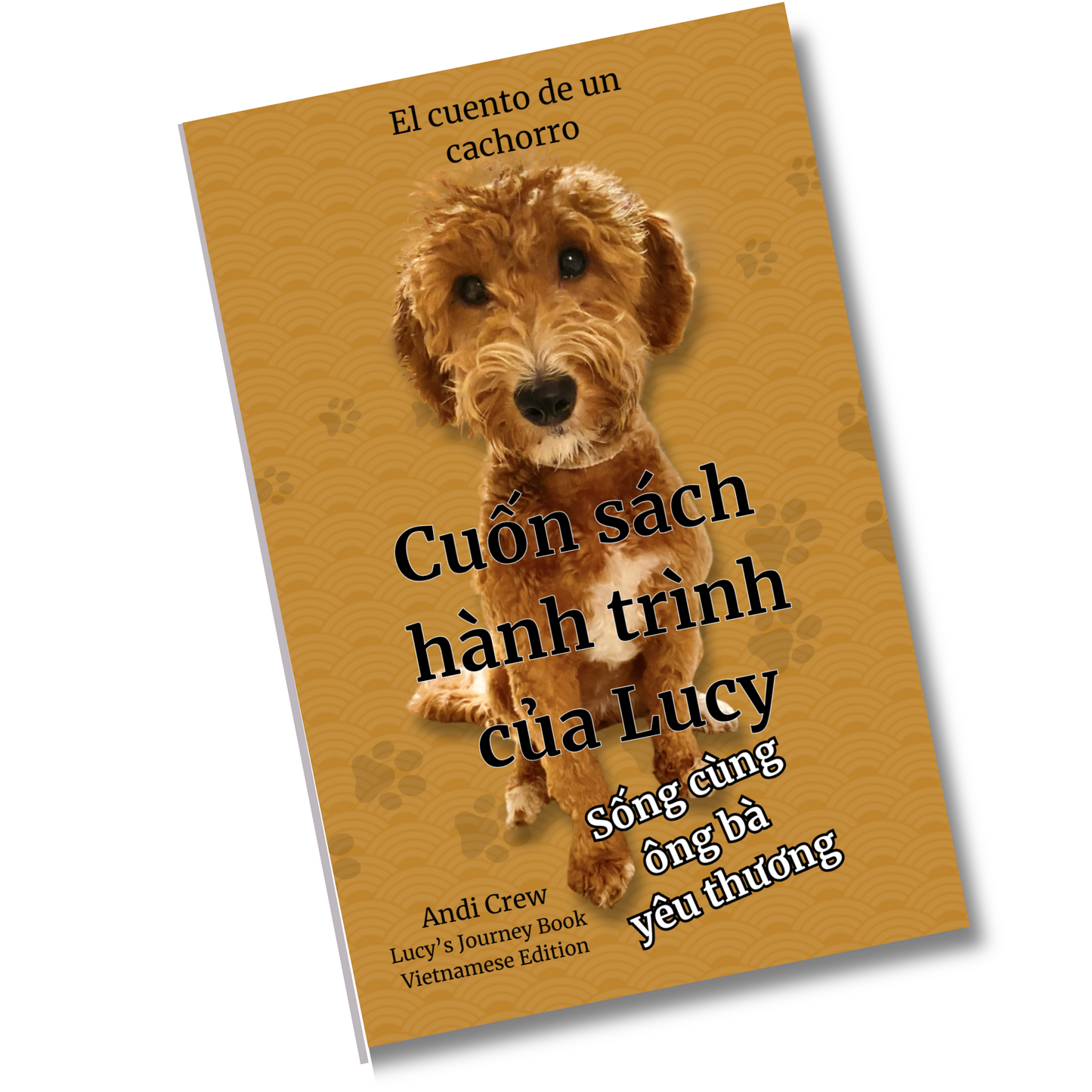 Lucy's Journey Book ( English )