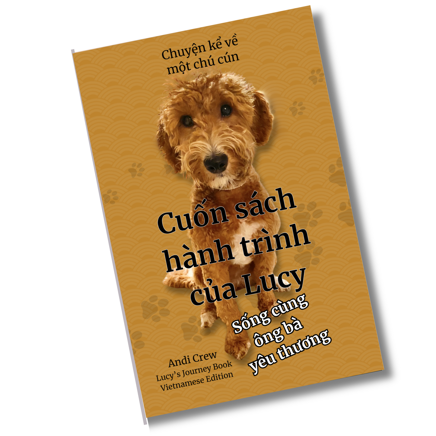 Lucy's Journey Book (Vietnamese)