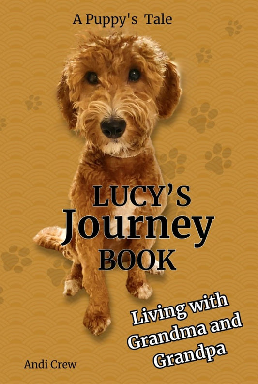 Lucy's Journey Book ( English )